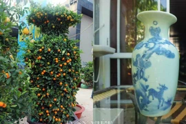 Mãn nhãn căp quất Tết dáng lộc bình giá "khủng"