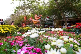 Cận cảnh lễ hội hoa xuân lớn nhất Tết 2017 ở Hà Nội