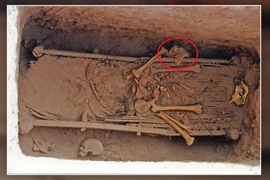 Phát hiện áo giáp sinh học 2.500 năm của binh lính cổ đại