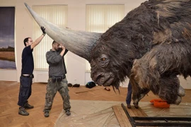 Bất ngờ với nguồn gốc thật sự của kỳ lân