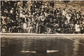 Nhìn lại 5 môn thể thao lạ lùng nhất lịch sử Olympic