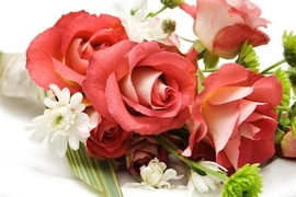 Nhà thơ Trần Minh: Lời chúc chân thành cho người phụ nữ Việt 