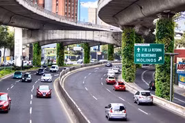 Những vườn cây thẳng đứng phủ xanh các cột trụ trên đường cao tốc