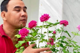 Góc mới sửa sang trong biệt thự 21 tỷ đồng của MC Quyền Linh