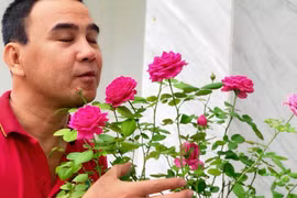 Góc mới sửa sang trong biệt thự 21 tỷ đồng của MC Quyền Linh