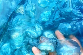 Nuốc xanh: Món sashimi độc lạ mùa hè