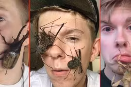  Kiếm bội tiền từ thú chơi kỳ lạ với... côn trùng