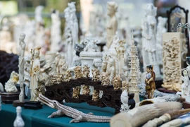 Nghiền nát như tương số ngà voi hơn 100 tỉ ở Mỹ