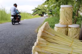 Bồn bồn - loài cây một thời vất vả phá bỏ, nay dân đổ xô trồng