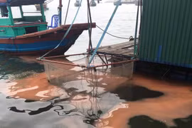 Lại xuất hiện vệt nước đỏ bất thường ở cảng Vũng Áng