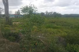 Mua đất 8 năm, bỗng dưng bị tòa bắt trả lại người bán