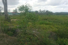 Mua đất 8 năm, bỗng dưng bị tòa bắt trả lại người bán