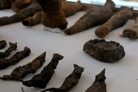 Bí mật kinh thiên xác ướp chuột ngàn năm tuổi thời Ai Cập cổ 