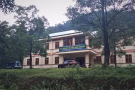 Để rừng bị phá, một lãnh đạo kiểm lâm bị giáng chức