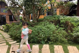 Bé gái 3 tuổi rưỡi tạo dáng 'check in' Đà Lạt siêu dễ thương