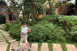 Bé gái 3 tuổi rưỡi tạo dáng 'check in' Đà Lạt siêu dễ thương