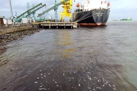 Công ty TNHH MTV Hào Hưng xả chất thải chưa đạt quy chuẩn bị xử phạt 75 triệu đồng