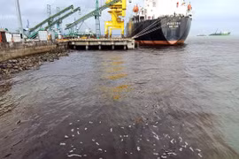 Công ty TNHH MTV Hào Hưng xả chất thải chưa đạt quy chuẩn bị xử phạt 75 triệu đồng