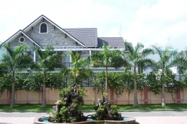 Trồng thần cây gác cổng: Xua đuổi vận xui hút tài lộc tới