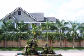 Trồng thần cây gác cổng: Xua đuổi vận xui hút tài lộc tới