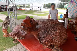 “Cụ rùa” tỏa hương thơm có giá tới nửa tỷ đồng 