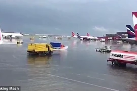 Nhà vệ sinh “truy sát” người trên phố ở thủ đô 