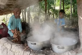 Công nghệ sản xuất đường thốt nốt dỏm “1 vốn 4 lời“