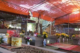 Vì sao “nhà ngoại cảm” khẳng định tìm thấy mộ cụ Nguyễn Bỉnh Khiêm?