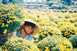 Làng hoa Sa Đéc rộn ràng du khách check-in