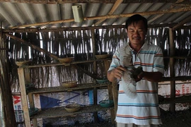 Kỳ lạ trở thành triệu phú nhờ cho chim nghe nhạc sến