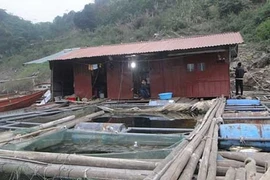 Cảnh khổ tận cùng của “chị Dậu” ở hồ Thủy điện Hòa Bình