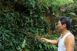 Thực hư hầm mộ chứa đầy vàng tại Hà Nam