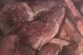 Công nghệ biến lợn chết bốc mùi thành thịt hun khói