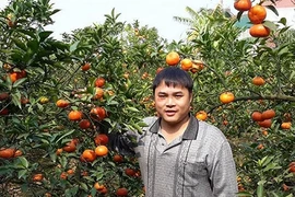 Chàng trai tật nguyền trở thành tỷ phú nhờ ươm cây giống