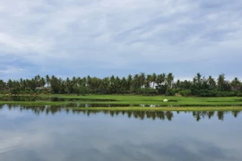 Lật thuyền đánh cá, vợ chồng ngư dân tử nạn thương tâm