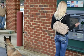 Nhìn đám “vệ sĩ” này, đến siêu trộm cũng phải sợ