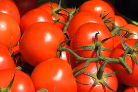 Chỉ nhờ 1 thìa nhỏ này, cây cà chua nào cũng sai quả căng mọng