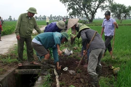 Hội Nông dân kêu gọi bà con cùng nhau diệt chuột