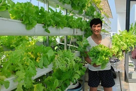 Vợ chồng Lý Hải khoe cảnh thu hoạch rau xà lách to như bó hoa