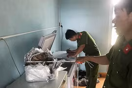 Ngâm hổ trong bể rượu, một người bị phạt 75 triệu đồng