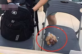 Bánh rán 700 ngàn, bữa ăn 700 triệu: Những cú "chặt chém" khách Tây