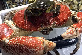 Cua khổng lồ giá tới gần 100 triệu đồng/con có gì đặc biệt?