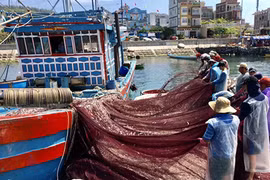 Những “thợ săn” tiền ở vùng biển: Vài giờ thu về hàng trăm triệu