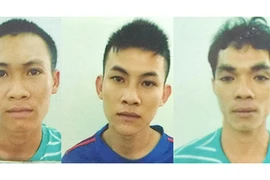 3 thanh niên vướng lao lý vì hãm hiếp cô gái 20 tuổi