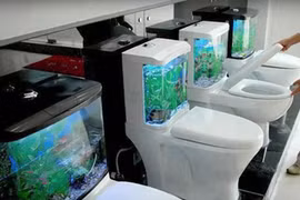 Những thiết bị vệ sinh "lạ đời" khiến bạn đau đầu trước khi dùng