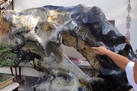 Chiêm ngưỡng bộ sưu tập đá tiền tỷ ở Đồng Nai