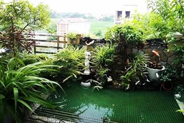 Kinh ngạc trước "nông trại" trên cao của gia đình Hải Phòng