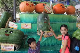 Ngắm "hàng khủng" tại lễ hội trái cây Nam Bộ 2017