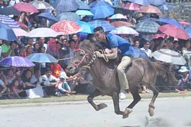 Hàng nghìn người đội nắng nóng xem đua ngựa ở Bắc Hà