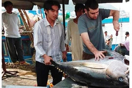 Việt Nam có thể trở thành "đại gia" xuất khẩu cá ngừ
